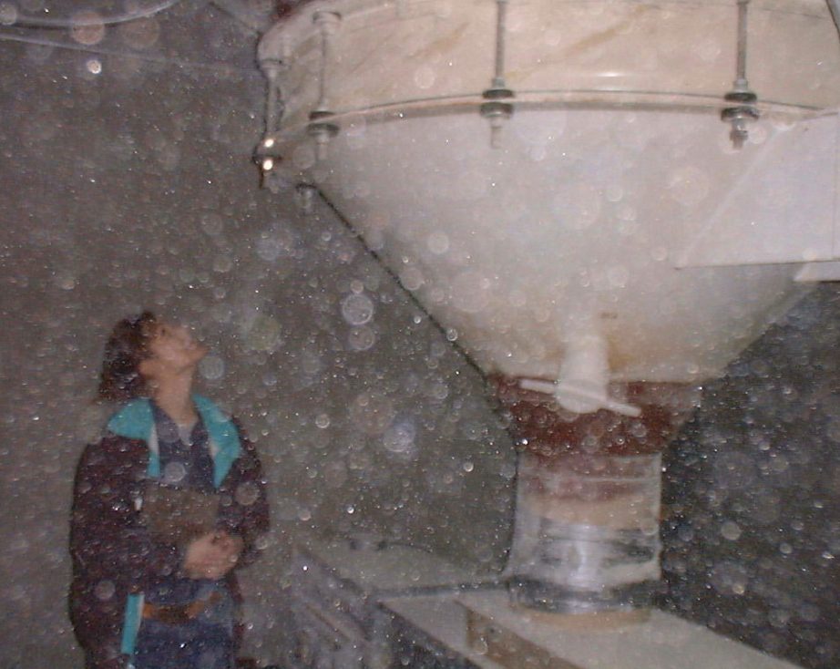 A woman standing next to a large bowl of water.